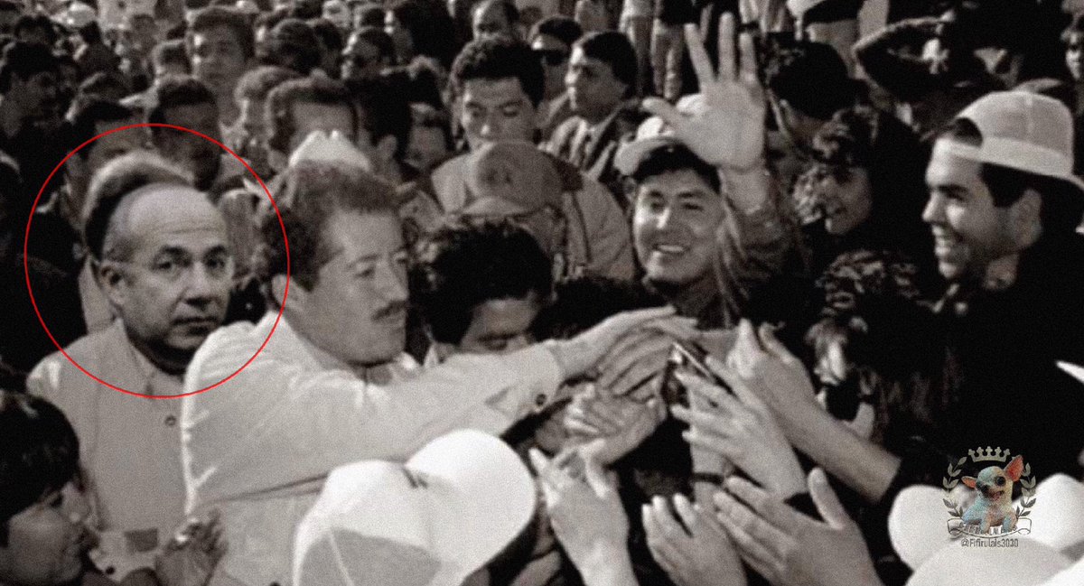 Fifirulais3030's tweet photo. Pues Donpndejo se propuso encontrar al segundo tirador del caso Colosio y que creen? https://t.co/U1BZJh6fRE