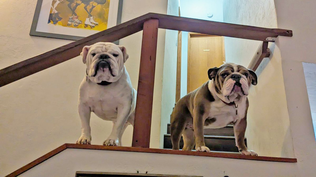 Gowron Swanson tweet media