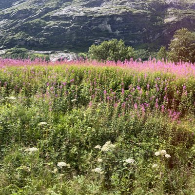 MeditatorHCRZ's tweet photo. #NewProfilePic https://t.co/UNMkOblb0l