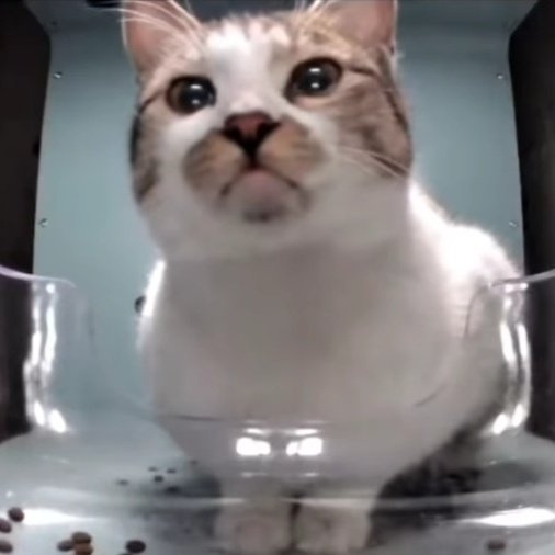 vuelve law te extraño