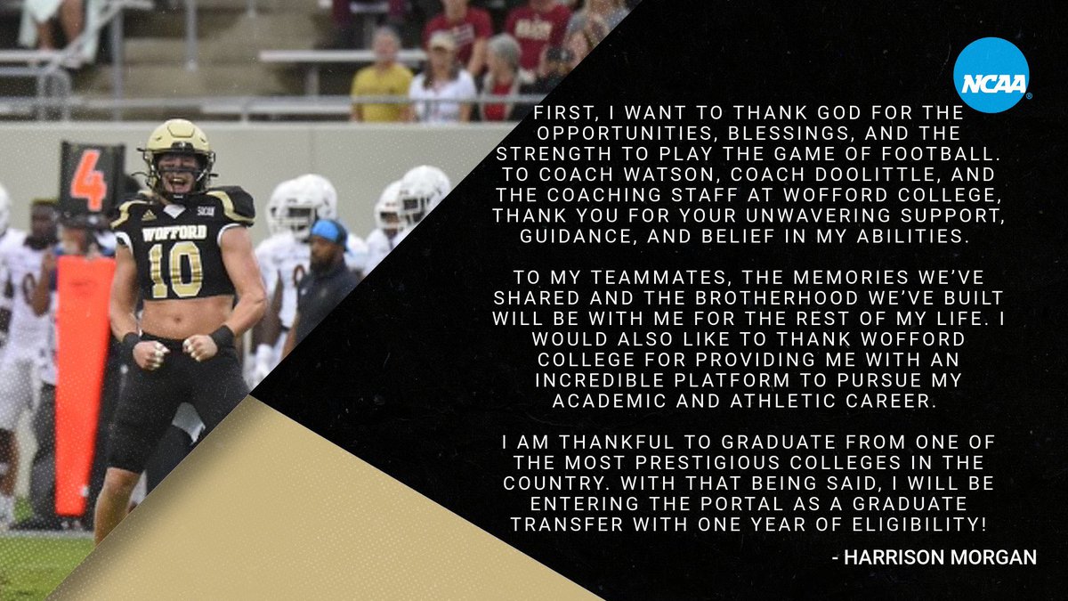 Harrison Morgan tweet media