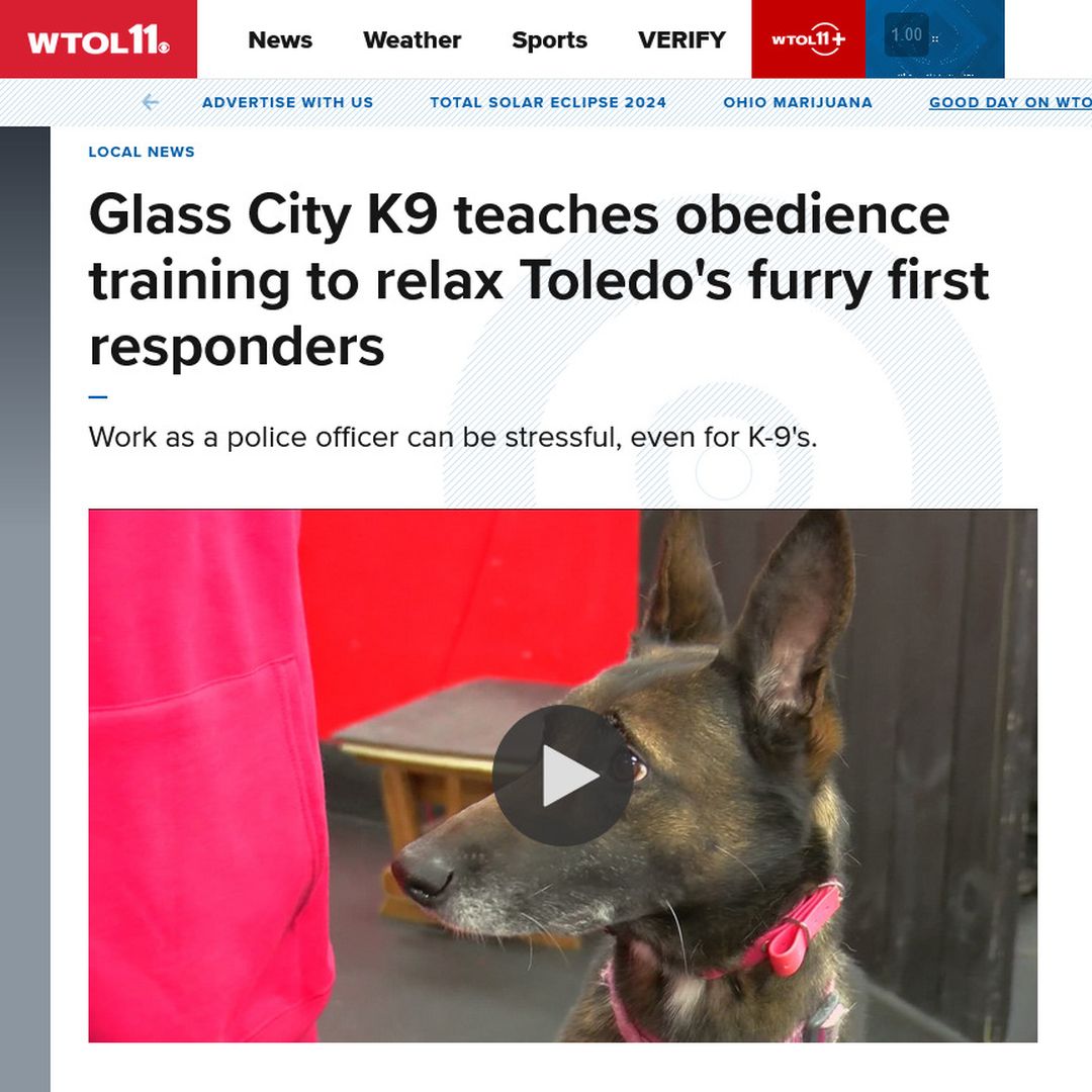 GlassCityK9 tweet media
