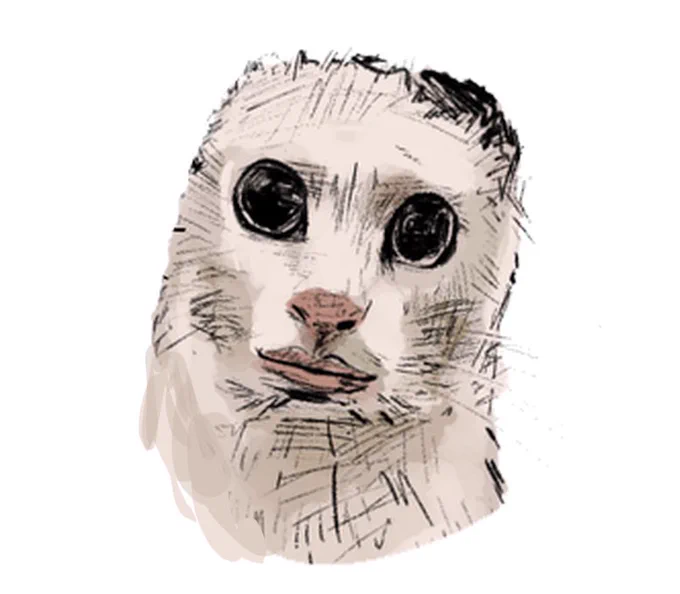 猫ミーム流行ってるのか 