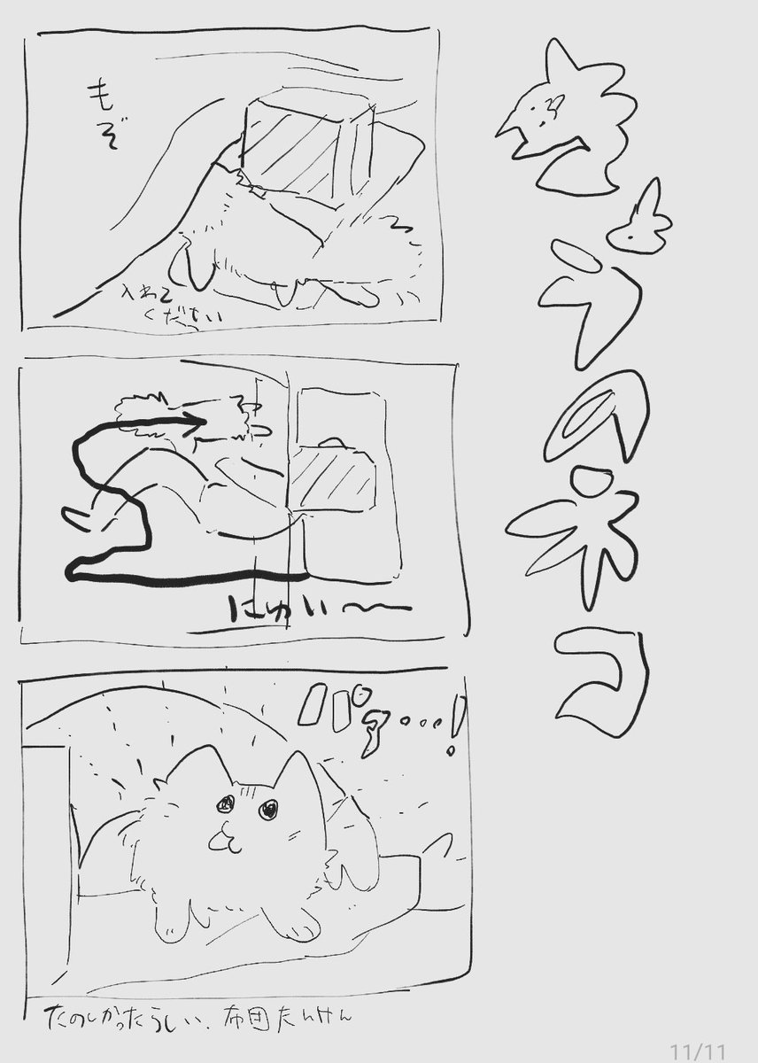きょうのねこ(AM6時) 