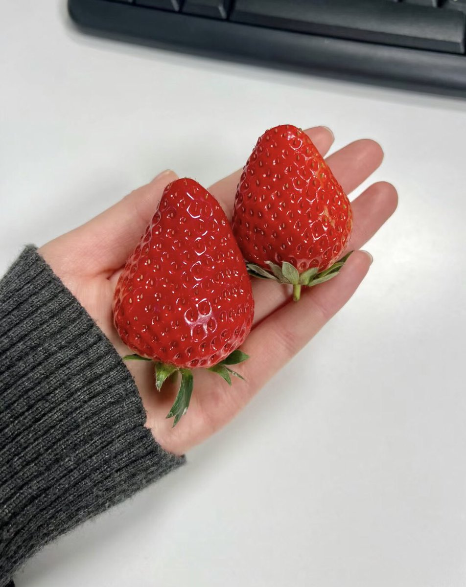 foshee71500's tweet photo. 先吃那个么🤣 https://t.co/B9x7qZRrYZ