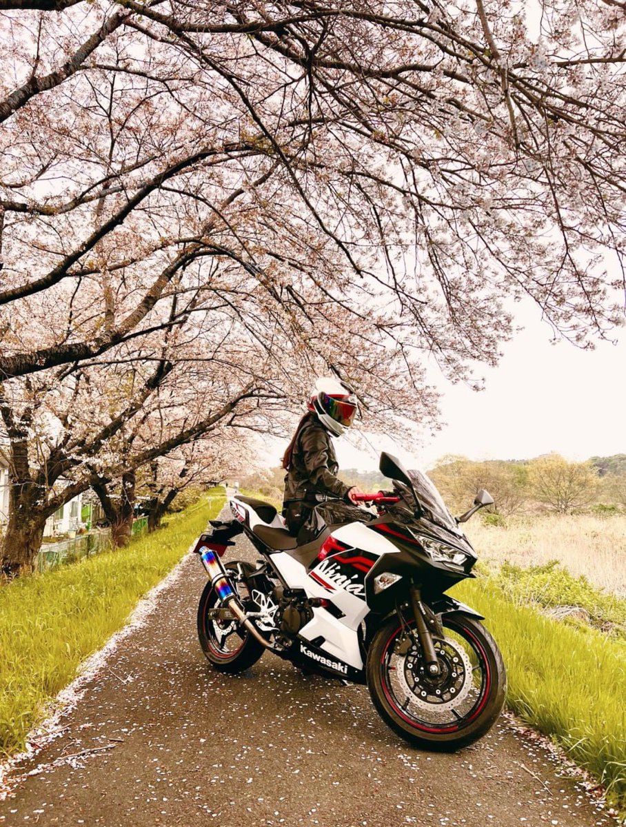 Go beyond yourself and experience the beautiful natural scenery.
