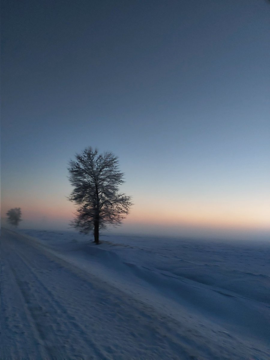 pannanmth's tweet photo. Minnesota winters>>
#Minnesota #midwest https://t.co/hrFYWZcMPK