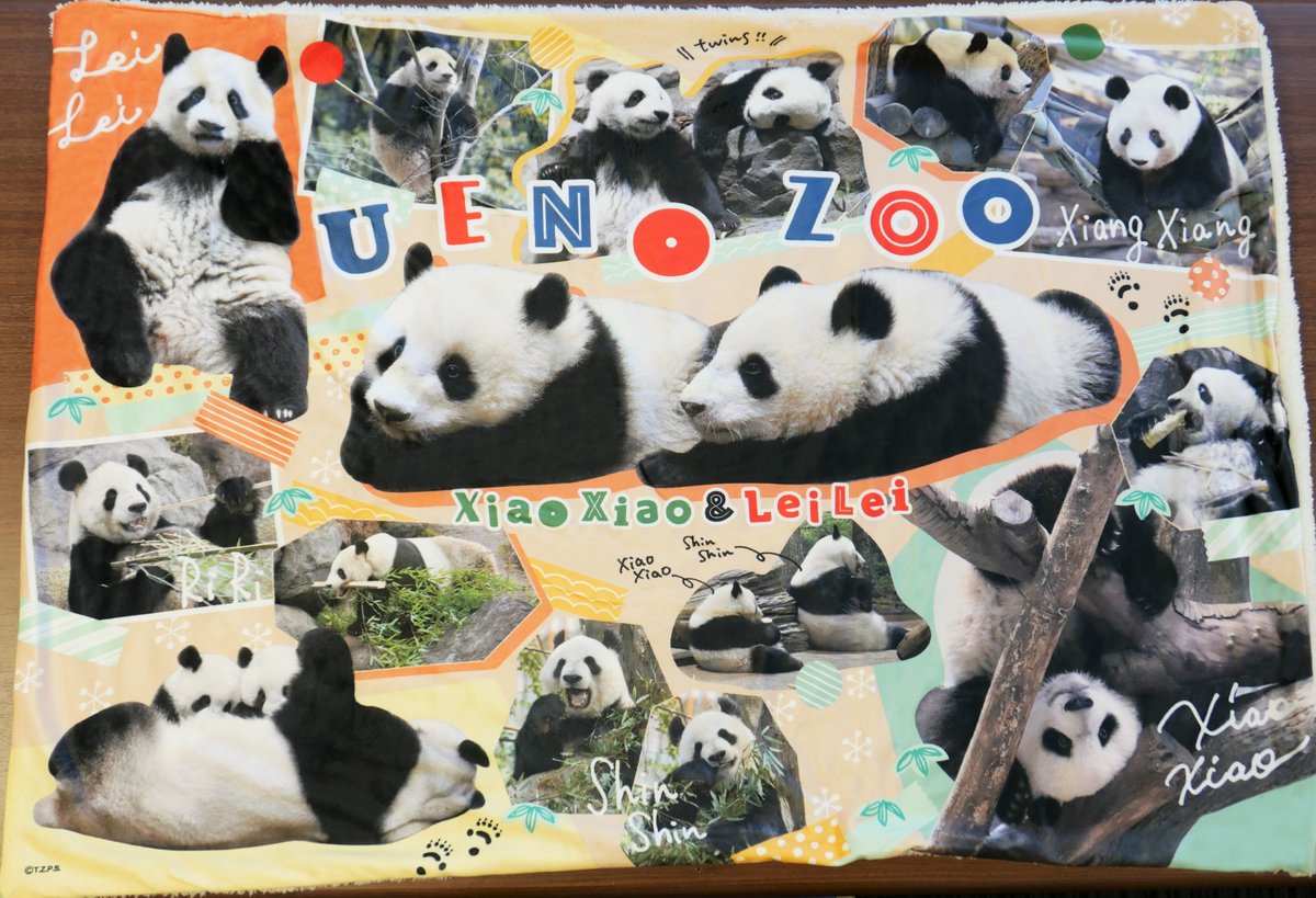 園内ギフトショップより】 「ブランケット 上野のパンダ」 2,300円