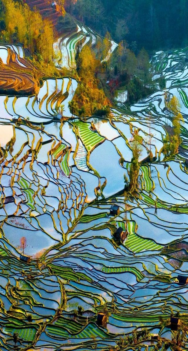 大地华章
中国梯田交响
