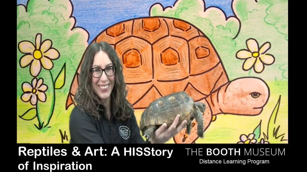 cilcorg's tweet photo. #k12 #teachers in the #classroom, #library, & #homeschooling, #tunein tomorrow at 1PM ET for our #CommunityofLearning #episode where we will connect with @boothmuseum to #learn about #reptiles through #artwork!
Register for #FREE here: https://t.co/G442h1MLkp https://t.co/3SYxRbCOS5