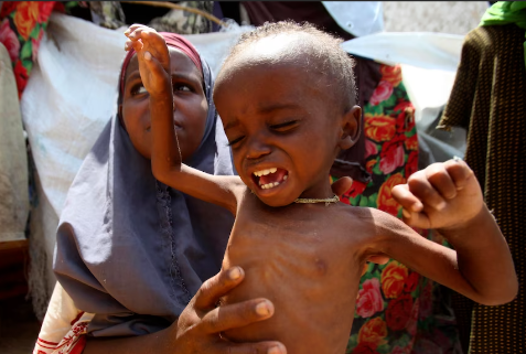 Africa_Analyst's tweet photo. 1/3 🚨 Urgent Appeal 🚨 Reports from Somali region, #Ethiopia, reveal a dire situation of prolonged drought and cholera outbreak. Many forcibly evicted from western #Sitti face death without government or humanitarian assistance. https://t.co/oxeJNhVrmw