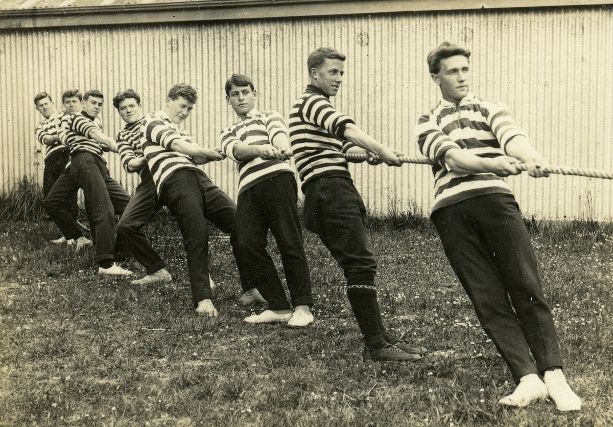 Hocken Collections tweet media