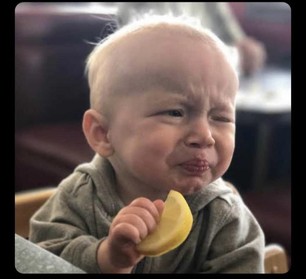 Prinology's tweet photo. @okiki_alonge Me right now https://t.co/Q8FdpqEIGC