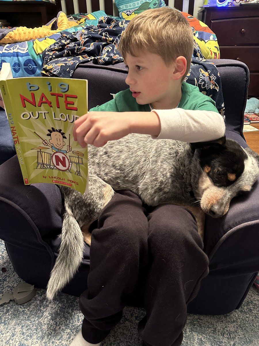 Dana Crispino Buckley tweet media