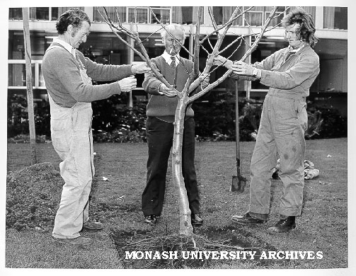Monash University Archives tweet media