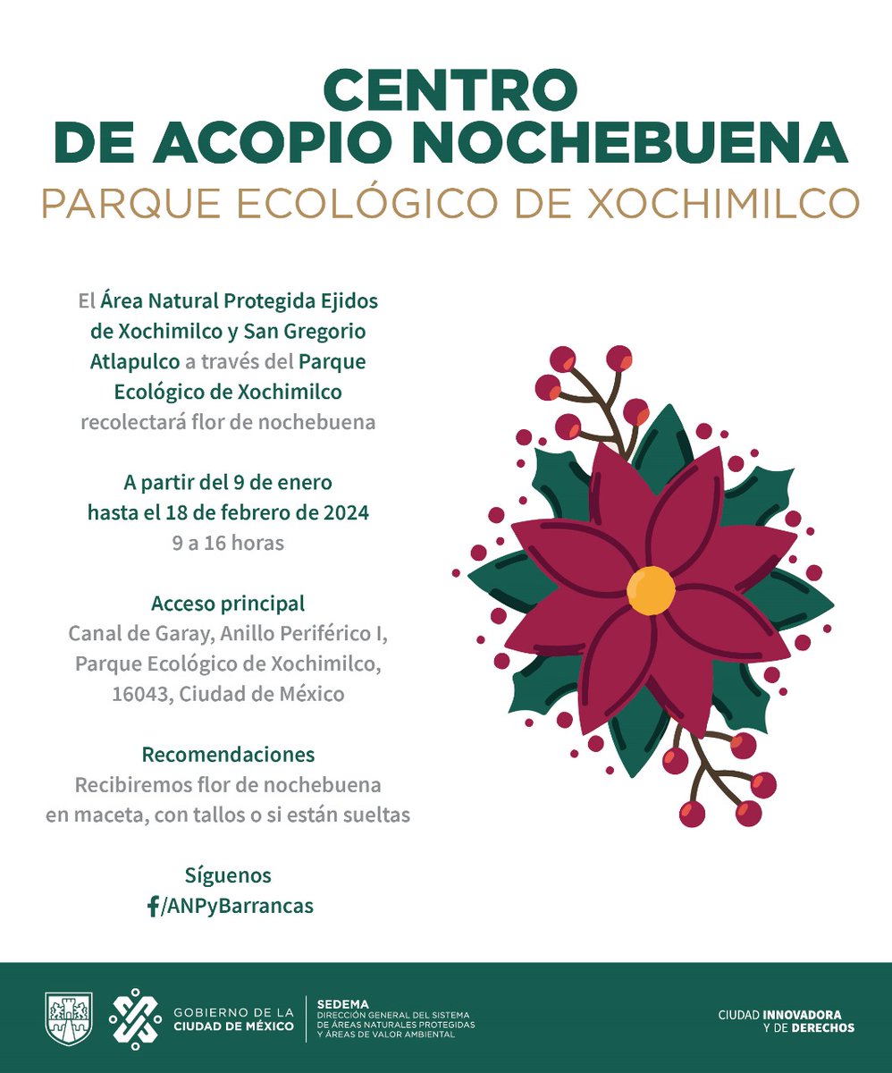 SEDEMA_CDMX's tweet photo. #NoOlvidesQue tenemos un Centro de Acopio de Nochebuena en el Parque Ecológico de Xochimilco 🍃
Con las plantas recolectadas generaremos composta que servirá como abono para el invernadero, vivero y chinampa demostrativa de este lugar.
@martibatres @GobCDMX https://t.co/I1r48Si85H