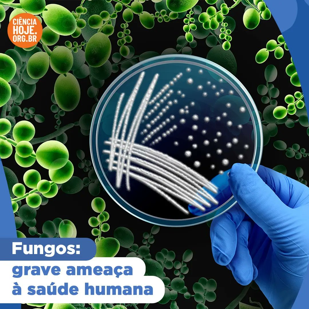 🍄💉👩🏻‍⚕️ FUNGOS, AMEAÇA À SAÚDE | As infecções causadas por fungos provocam 2 milhões de mortes anualmente, sendo a quinta maior causa de morte em todo o mundo. Além de prejudicar a inserção social por afetar a pele e a aparência, e até a saúde mental. 

cienciahoje.org.br/artigo/fungos-…

+