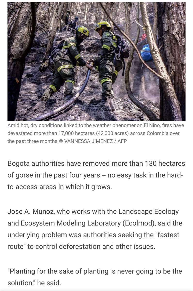 Wrath Of Gnon tweet media