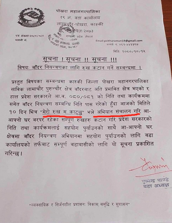 डाम्नाहरुले यस्तो अभियानको चलाए छ । अब घरमा लामखुट्टे आउँदा के गर्छ होला ? यो सल्लाह दिने बुद्धिजिबी र निर्णय गर्ने नेता कर्मचारीलाई के भन्ने होला ??