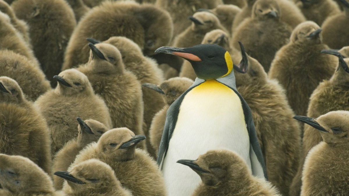 jonath85's tweet image. Ever explored the power of co-leadership? It's about unlocking greater resilience, fostering innovation, and enhancing decision-making in your organization. Experienced it? Share your story. #ExecutiveCoaching #LeadershipDevelopment"