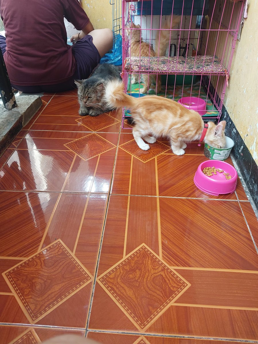 ًً (@nangim__) on Twitter photo 