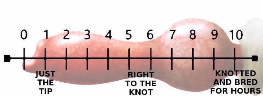 𝖳𝗁𝖾 𝖻𝖾𝗌𝗍 𝖻𝗈𝗒 | 𝖠𝖼𝖾 tweet media