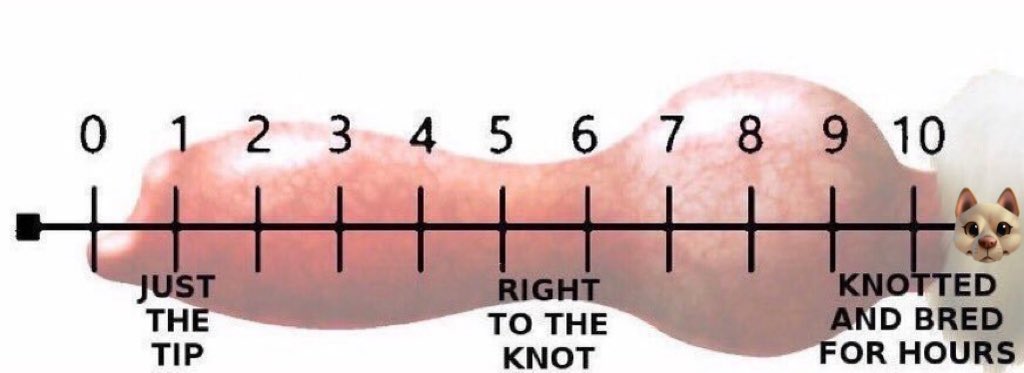 𝖳𝗁𝖾 𝖻𝖾𝗌𝗍 𝖻𝗈𝗒 | 𝖠𝖼𝖾 tweet media