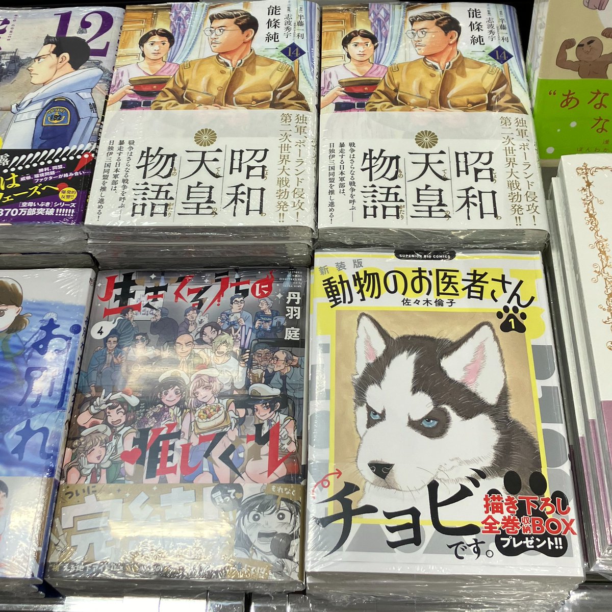 bunkyodo_matsu's tweet photo. 【新刊情報】
「空母いぶきGREAT GAME（12）」
「俺のリスク（1）」
「お別れホスピタル（11）」
「昭和天皇物語（14）」
「生きてるうちに推してくれ（4）」
「新装版 動物のお医者さん（1）」
「わたしの証拠（1）」
「諸星大二郎劇場 第5集 アリスとシェエラザード～仮面舞踏会～」 https://t.co/PDw9UySfBy