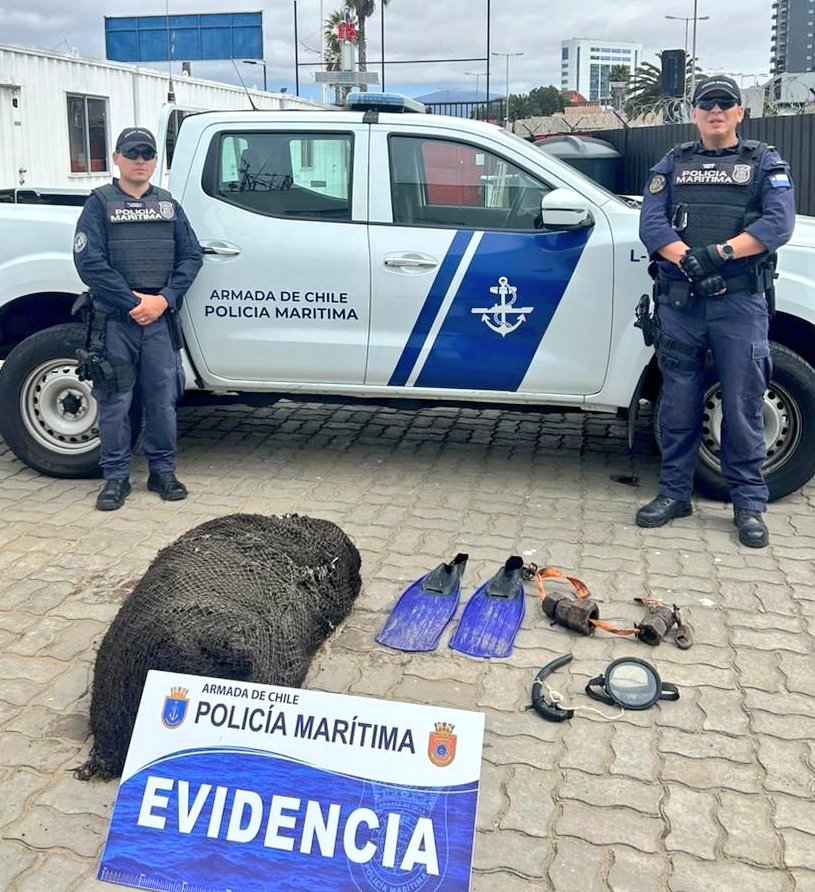 Capuertocoq's tweet photo. #POLICÍAMARÍTIMA, detiene extranjero que efectuaba Hurto de algas en Área de Manejo de Sindicato de Algueros en playa Changa en #Coquimbo, Fiscal de Turno instruye que persona se mantenga detenida en espera de control de detención. @DPRCoquimbo @eldia_cl @montecarlocl @DGTM_Chile https://t.co/hMesCazGNs