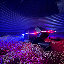 Grain Weevil is now offering limited services! While we complete our robot development and production, our services will enable you to take advantage of the Grain Weevil benefits before you can own one of your own. grainweevil.com/services