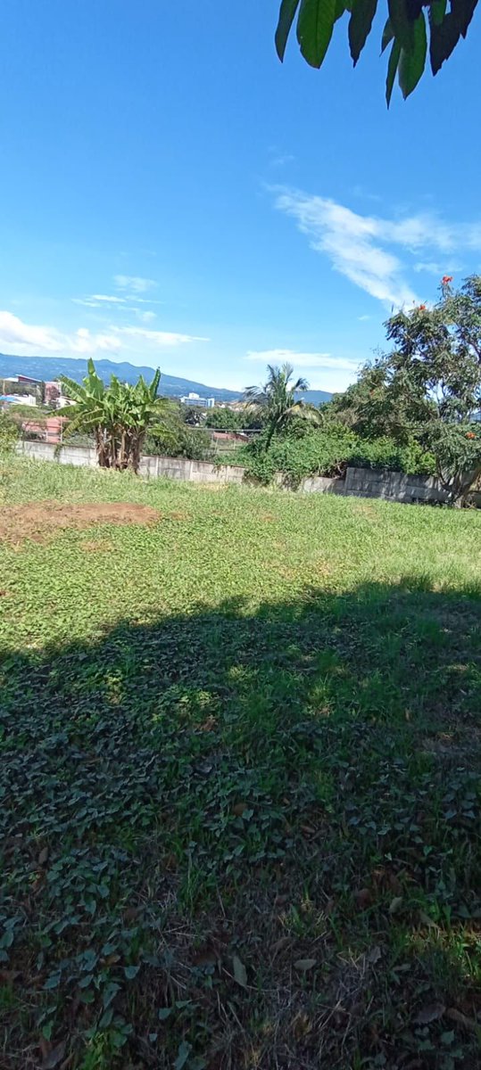 BusquemosCasa's tweet photo. Lote en venta
    País: Costa Rica
    Precio: $550,000
    Información de contacto aquí:
    https://t.co/48gsfjaTNC
    #costarica #lotes #ventas #heredia #cantónheredia #heredia #costarica #propiedades #bienesraices #busquemoscasa https://t.co/63ALatDG8T