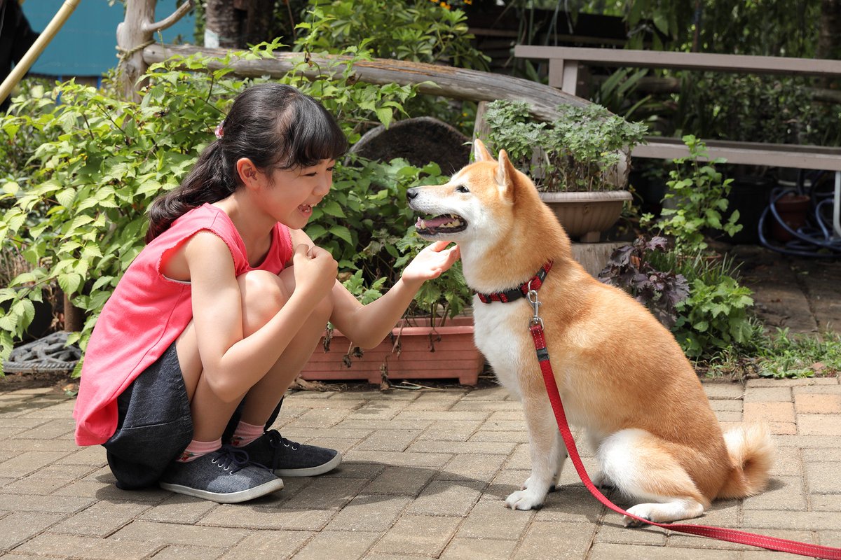 今夜6時55分
#駐在刑事スペシャル2023

奥多摩の熱き駐在 江波が帰ってきた！
韓国からやってきた謎多き親子をもてなす江波
さらに都内では身元不明の殺人事件
点と点が線になって一つの真実が明らかに!?

#寺島進 #北村有起哉 #笛木優子 #福士誠治 #ユン・ソンモ #坪倉由幸 #北原里英 #北代高士 ほか