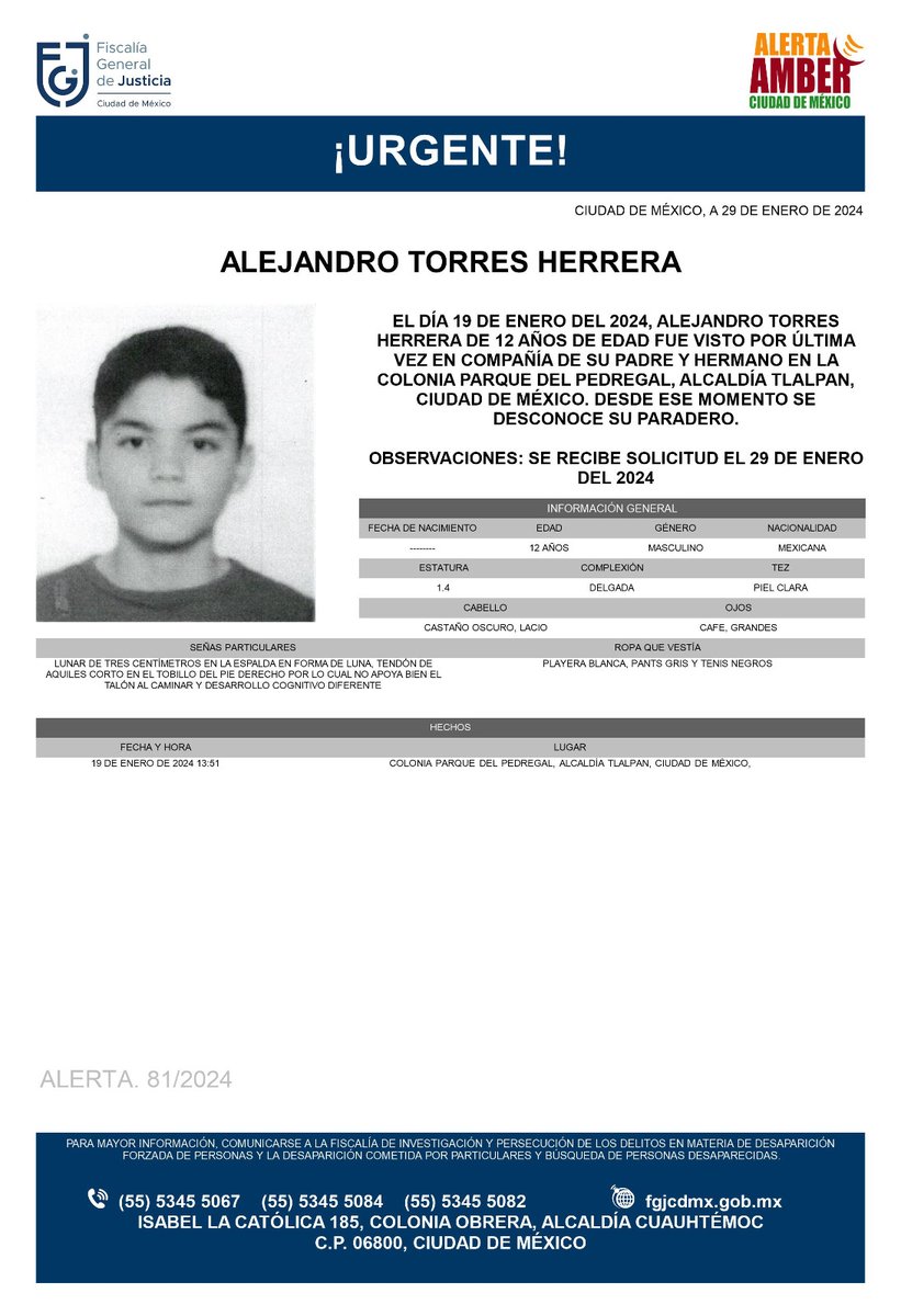 FiscaliaCDMX's tweet photo. Se activa #AlertaAmber para localizar a un menor de 12 años de edad, de nombre Alejandro Torres Herrera, quien fue visto por última vez el día 19 de enero de 2024, en la colonia Parque del Pedregal, alcaldía Tlalpan https://t.co/GiQd4aqon7