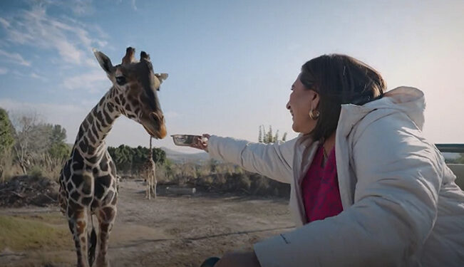 VoxPopuliNoti's tweet image. .@XochitlGalvez viaja a #Puebla para #visitar a la jirafa #Benito en #AfricamSafari

Fue mediante su cuenta de X en donde compartió un video hablando acerca de su visita al lugar
voxpopulinoticias.com.mx/2024/01/xochit…