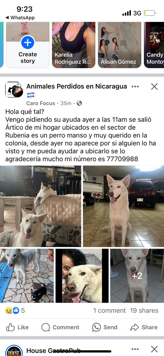 isabela_f6's tweet photo. Les pido porfa lo compartan y ayudemos a mi amiga a encontrar a su niño 😞🥺 https://t.co/KhAGqRgwav
