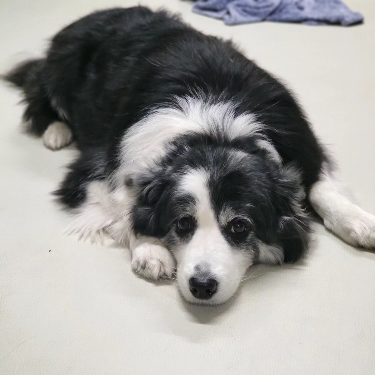 ridasmile66's tweet photo. Kim Hyun Joong Instagram Update(3)

Cr.https://t.co/iQspfVmvG5 https://t.co/FgEayTSXxh