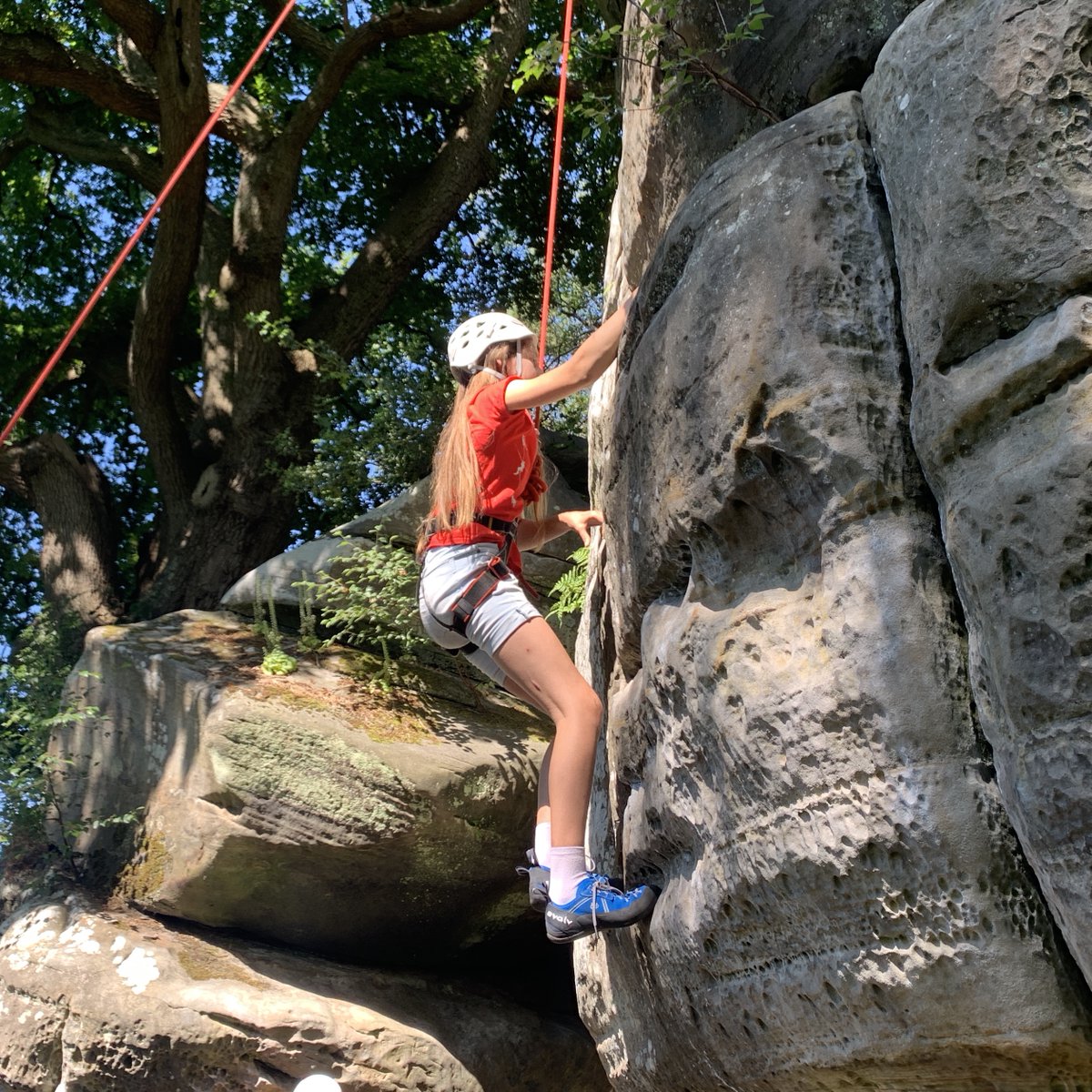 Nuts4Climbing's tweet photo. January Newsletter 😀 https://t.co/U3oLExK5LS https://t.co/R4n3PytaEh