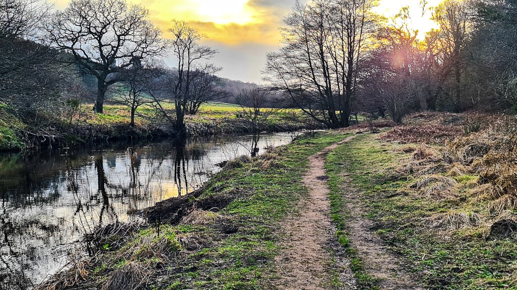 Thoughts and purpose,  Sunday meanderings alongside #RiverDerwent #DerwentValleyCountryPark @Gateshead @colimac1 @Meri93019495 @AimeeR2022