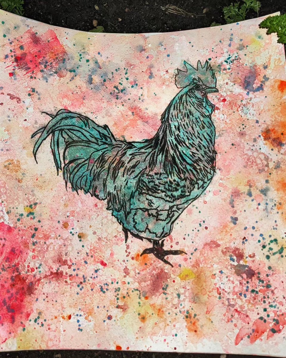 A rooster named Baby is my muse for the moment.