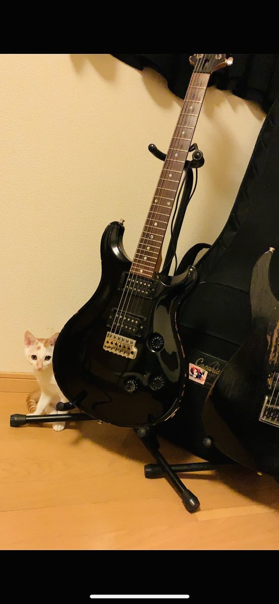 TOMEI_kosuke's tweet photo. 【探しています】

ギターが盗難に遭いました。

この業界でずっと一緒に夢を追ってきた
大切なギターです。

下記の内容をご一読いただき、もし見かけた方や心当たり等ございましたら、どんな些細な手掛かりでも構いませんので、ご一報いただけますと幸いでございます。

皆様、ご協力の方何卒よろしくお願い致します。