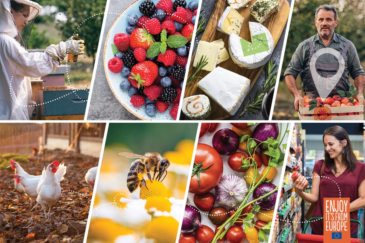 European Research Executive Agency (@rea_research) on Twitter photo The #EUAgripromo Info Days start tomorrow! 🥦
Get insights on the €176.4 million funding opportunity & the application process.
Make sure to follow the event live on X <a href="/EUAgri/">EU Agriculture🌱</a> or register to attend online in the link below!
👉 europa.eu/!YKp6RB The #EUAgripromo Info Days start tomorrow! 🥦
Get insights on the €176.4 million funding opportunity & the application process.
Make sure to follow the event live on X <a href="/EUAgri/">EU Agriculture🌱</a> or register to attend online in the link below!
👉 europa.eu/!YKp6RB
