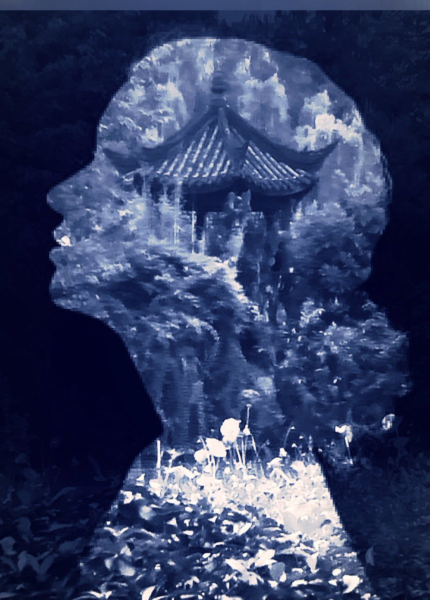 j_satsi's tweet photo. “A living language is continually being made and remade, woven out of the silence by those who speak.…”

Li Bai Garden, Chengdu

#Chimonanthuspraecox #earlywintersweet #threadingrakflowers #naturewriting #nanprize #flowers #flowerphotography #botany #chengdu #LiBai #cynotype https://t.co/R4w2PZizq7
