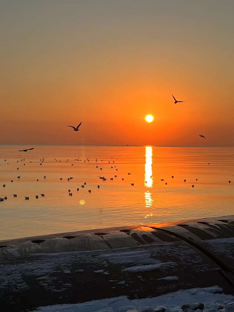 florence_jiang's tweet photo. #Tianjin, #sunrise, Photo by Xu Pengyuan. https://t.co/hmqETc28Tf