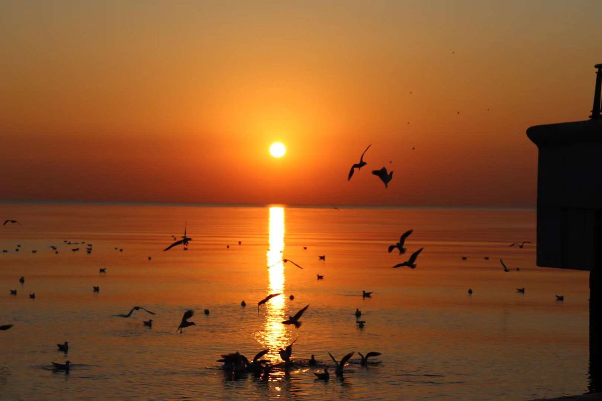 florence_jiang's tweet photo. #Tianjin, #sunrise, Photo by Xu Pengyuan. https://t.co/I5ieIRLqIN