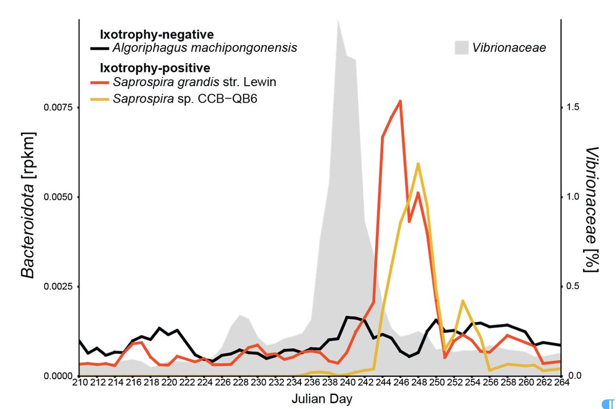 Pilhofer Lab tweet media