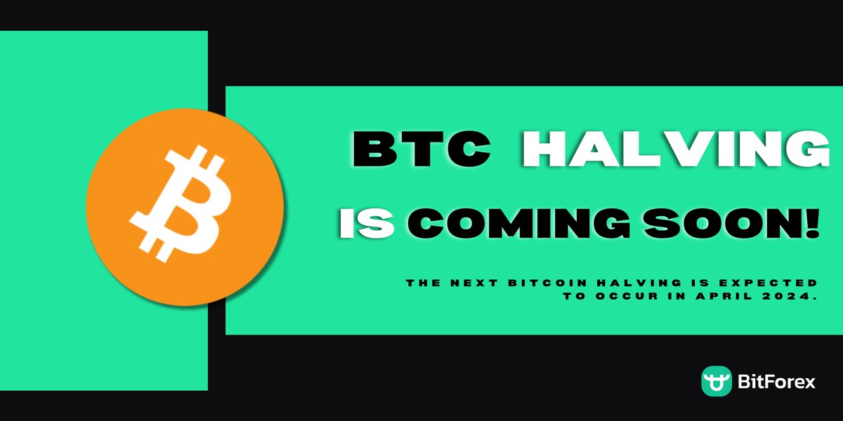 What will the next Bitcoin halving bring to the market?🤔