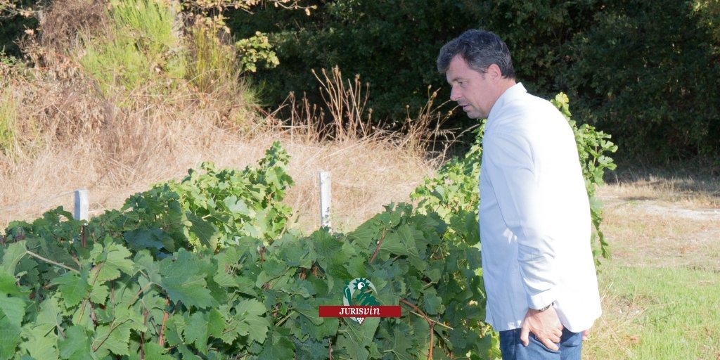 jurisvin's tweet photo. Décès #exploitant : afin d’éviter le 💥 morcellement de la structure #viticole entre les membres de la famille, celui qui continue l’exploitation peut demander que cette dernière lui soit attribuée, avec ou contre la volonté des autres #héritiers.
https://t.co/UYzeblsVuU https://t.co/fBujLETmJg
