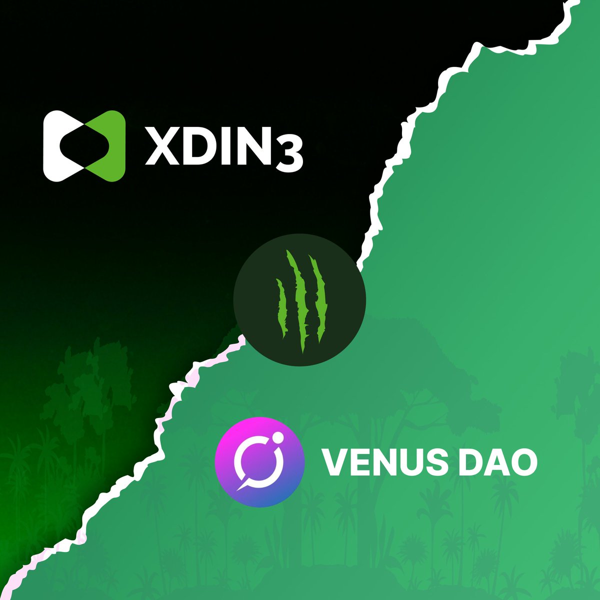 Venus DAO tweet media