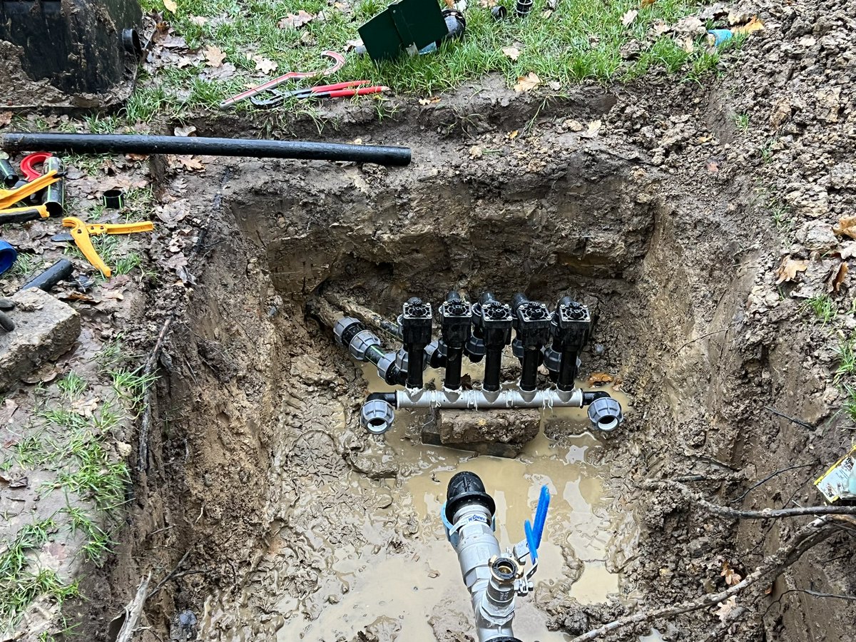 Andre Holt tweet media