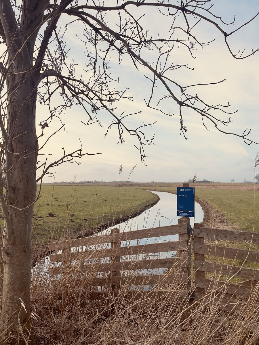Mooigrunnen's tweet photo. Het Groninger landschap schilderachtig.
Foto locatie: Karspelweg, Wetsinge
.
#mooigrunnen #mooigrunneninbeeld #wetsinge #daspasgrunnen https://t.co/64qYY6G6Js